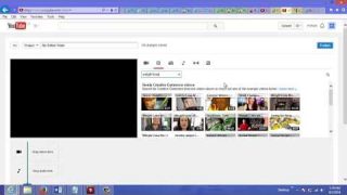 Streaming Videos Hosting services