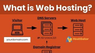 What is Web Hosting? Beginners Guide to Domains, DNS Settings & Difference Between Host Types