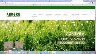 andgro website loading speed – test