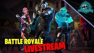 HOSTING CUSTOMS // FORTNITE LIVESTREAM // DONATE TO SPIN THE WHEEL // DAILY STREAM COMING BACK??