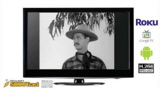 Stream Hosting, Streaming, Servers and Streaming Media Services with Any Screen Delivery