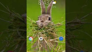 Think With Google's TestMySite report of Steemit