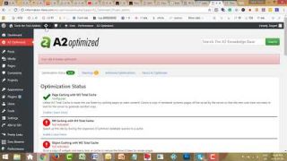 Website loading speed adjustments done live